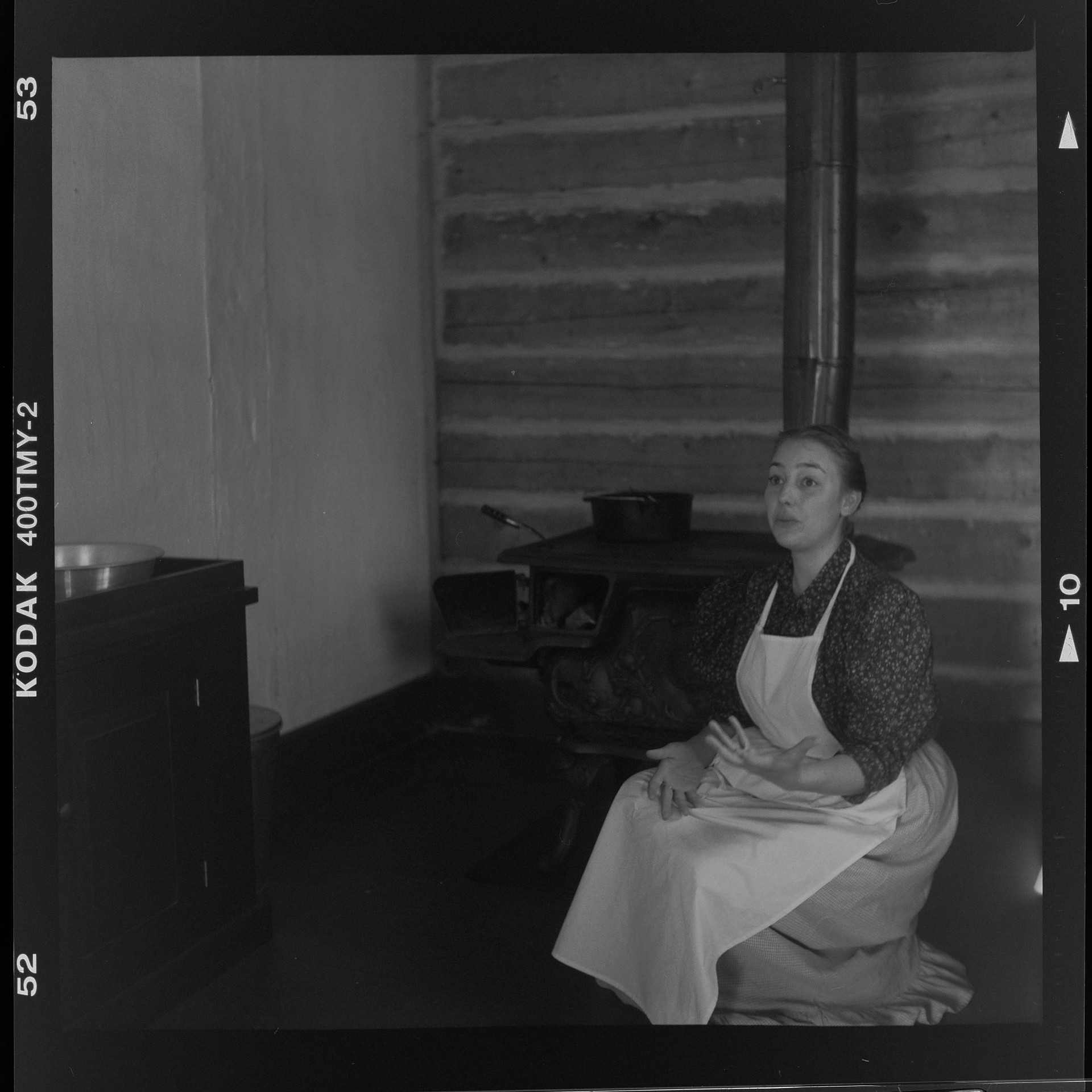 Young Lady with Cast Iron Wood Stove