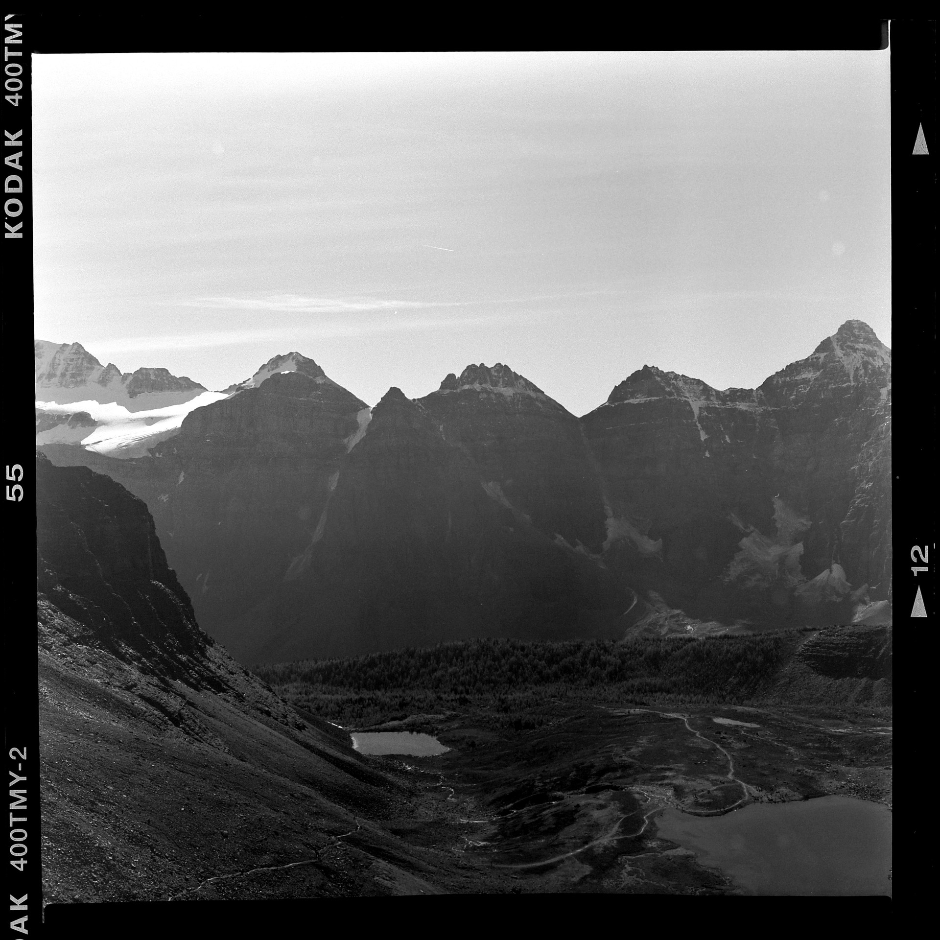 Larch Valley